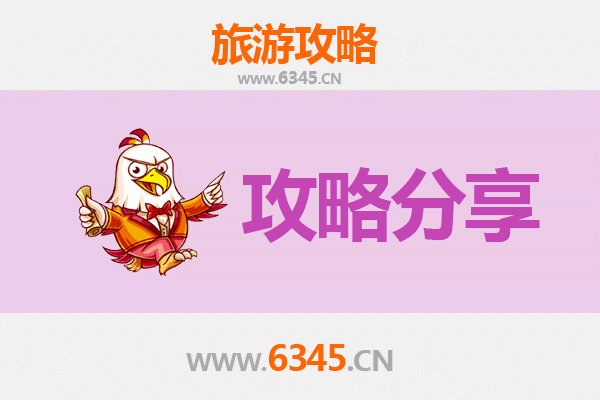 周口郸城旅游攻略：跟团与自由行深度对比